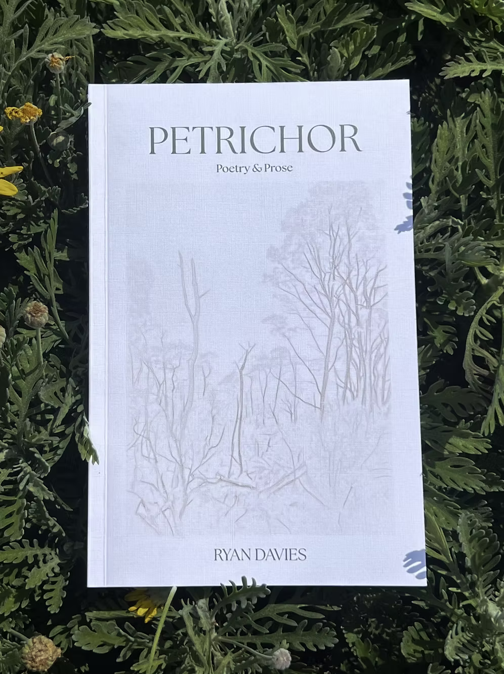 Petrichor by Ryan Davies Poetry & Prose