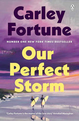Our Perfect Storm: The brand new summer romance from the bestselling author of BookTok phenomenon EVERY SUMMER AFTER by Carley Fortune