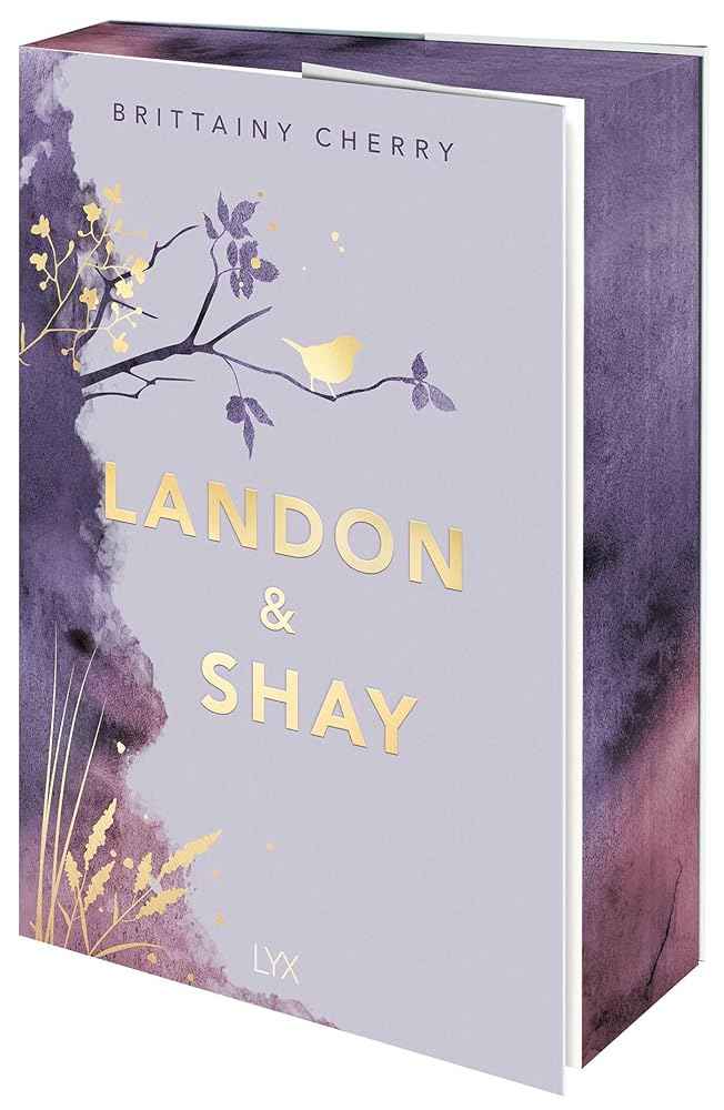 Landon & Shay (Chances) by Brittainy Cherry