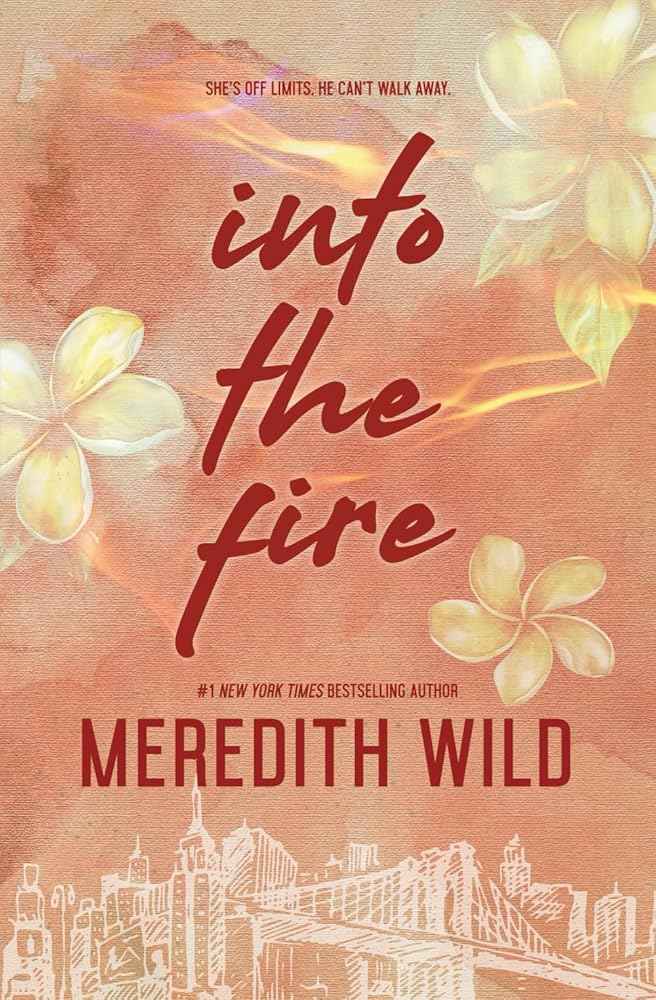 Into the Fire (The Bridge Series) by Meredith Wild
